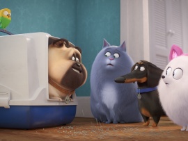 Тайная жизнь домашних животных 2 (6)