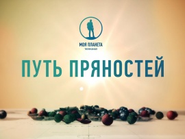 Путь пряностей