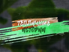 Тепличные истории