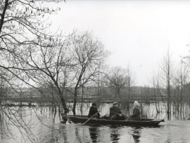 Простая история (5)