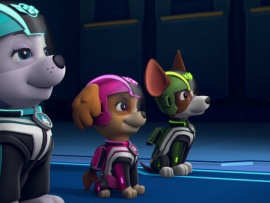 Щенячий патруль: Улетная помощь