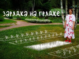 Зарядка на грядке