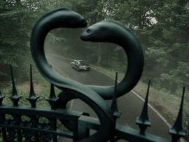 Лекарство от здоровья (4)