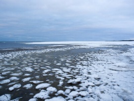 Белое море: вчера, сегодня, завтра