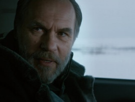 Пингвин нашего времени (6)