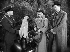 Жизнерадостная леди (3)