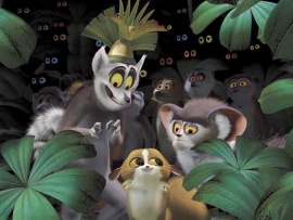 Мадагаскар (5)