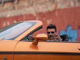 День курка (6)