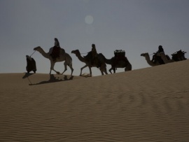 Королева пустыни (5)