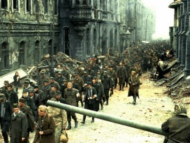 Белый тигр (6)