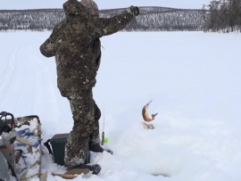 Охота и рыбалка в Якутии. За арктическим гольцом в Оймякон