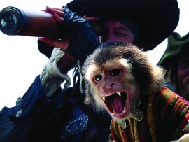 Пираты Карибского моря: Проклятие Черной жемчужины (6)