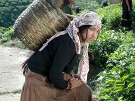 Бам-бам-боле (4)