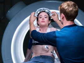 Коматозники