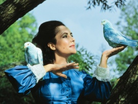 Синяя птица