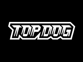 Кулачные бои. Top Dog 24. Прямая трансляция