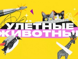 Улётные животные