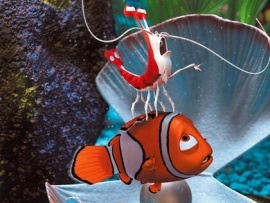 В поисках Немо (6)