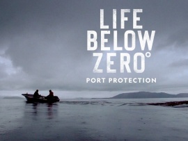 Life Below Zero: Port Protection
