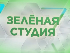 Зелёная студия