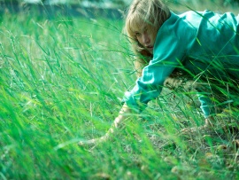 Умри, моя любовь (2)