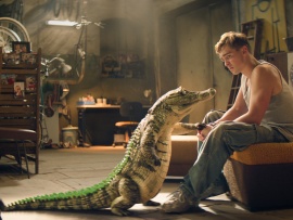 Школа магических зверей. Загадка волшебного леса (2)