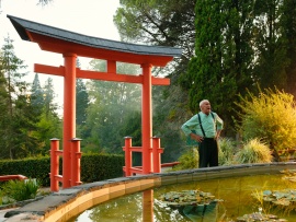 Чебурашка. Выходной (3)