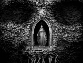 Не выходи из дома