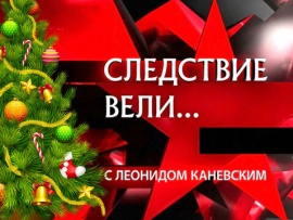 Следствие вели. Новогодние расследования