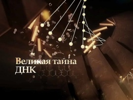 Великая тайна ДНК