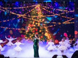 Домисолька. Новогодняя сказка