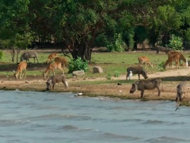 Озеро Танганьика. Голубое сердце Африки