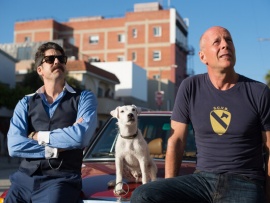 Его собачье дело