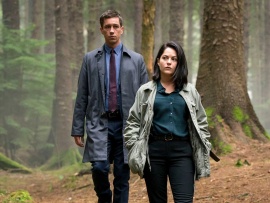 Дублинские убийства