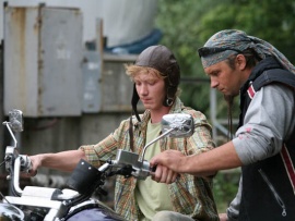 Битва божьих коровок (4)