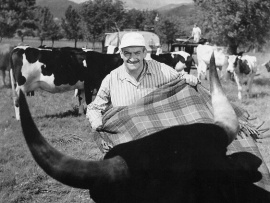 Такси, прицеп и коррида