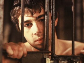 Медвежий поцелуй (3)