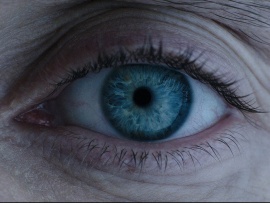 Чужой: Завет (3)