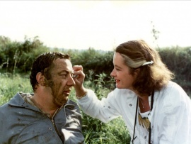 Инспектор-разиня (5)