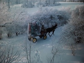 Люди и манекены (2)