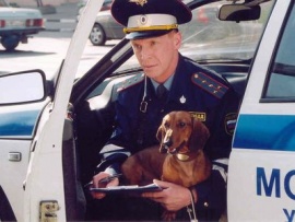 Четыре таксиста и собака (6)