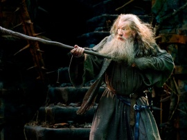 Хоббит: Пустошь Смауга (3)