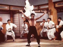 Кулак ярости (5)