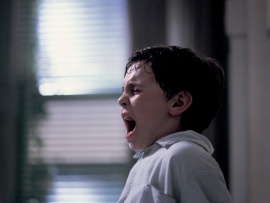 Хрупкость (4)