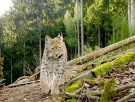 Сказочные вершины Германии