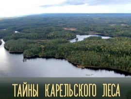 Тайны Карельского леса