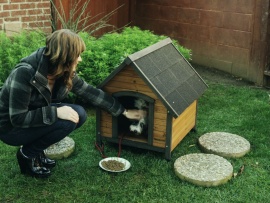 Сокс: лучший друг семьи