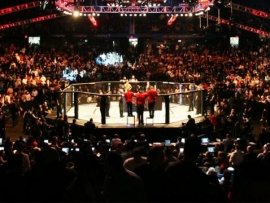 Смешанные единоборства. AMC Fight Nights 105