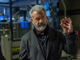 День курка (5)