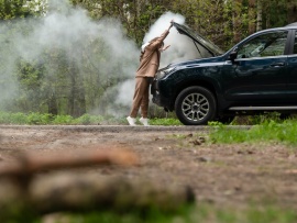 Сердце Купидона (2)